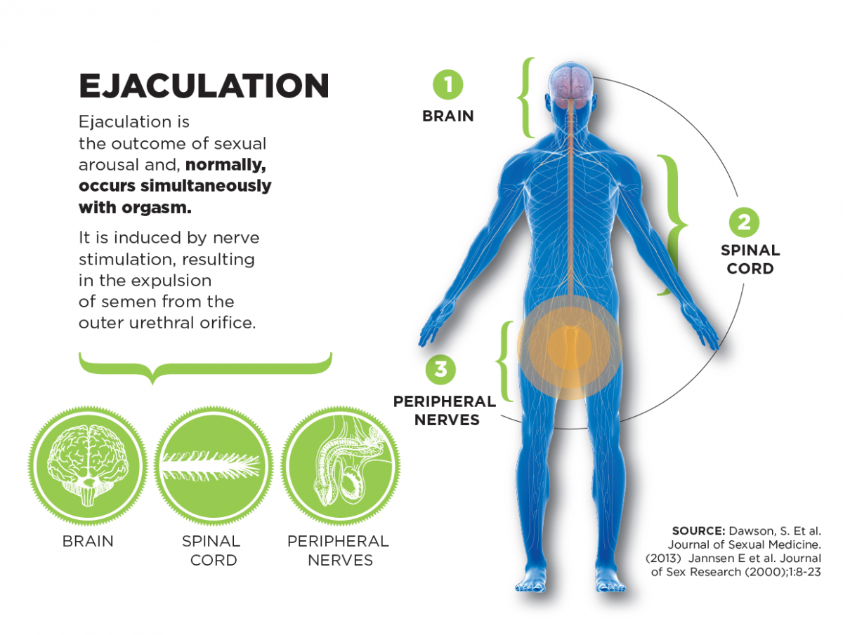 How To Control Premature Ejaculation: 8 Steps (With Pictures)